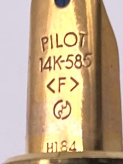Pilot fountain pen featuring a 14K-585 gold nib size F and black pen body