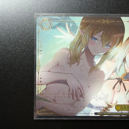 Weiss Schwarz Five Years' Status Update — Japanese
