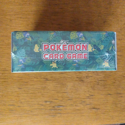 Pokemon Pikachu Box — Japanese