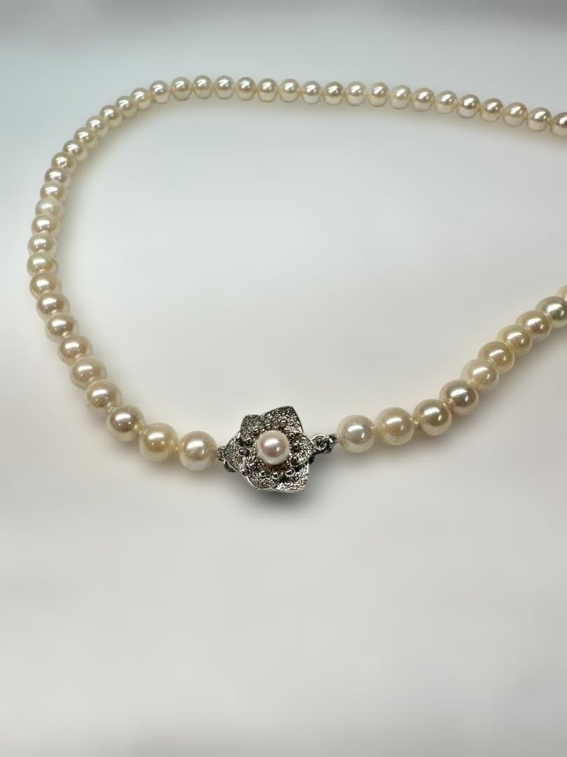 Akoya pearl necklace with 6.0mm pearls and silver clasp, displayed with stamped case