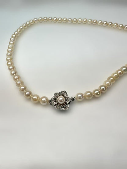 Akoya pearl necklace with 6.0mm pearls and silver clasp, displayed with stamped case