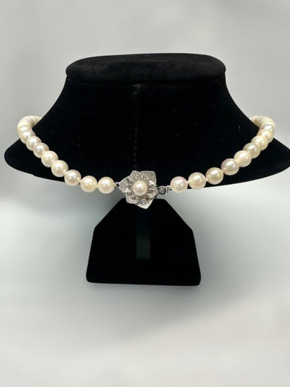 Akoya pearl necklace with 6.0mm pearls and silver clasp, displayed with stamped case