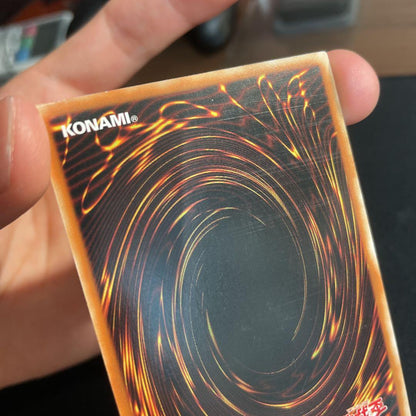 Yu-Gi-Oh Wynn the Wind Charmer — Chinese