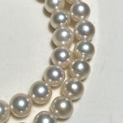 Tasaki Akoya pearl necklace with 8.0-8.5mm pearls and K14 clasp on a white background