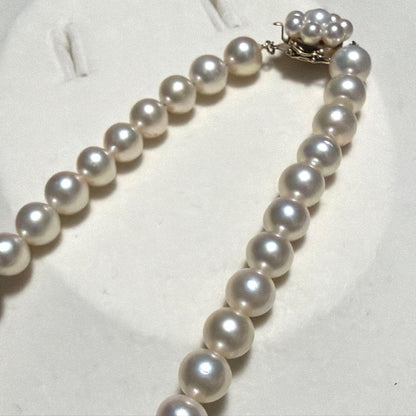 Tasaki Akoya pearl necklace with 8.0-8.5mm pearls and K14 clasp on a white background