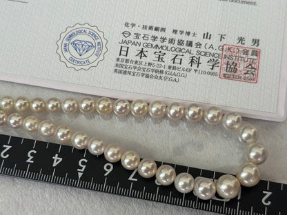 Multi-colored Akoya pearl gradient necklace 4.7-9mm on white background with certificate