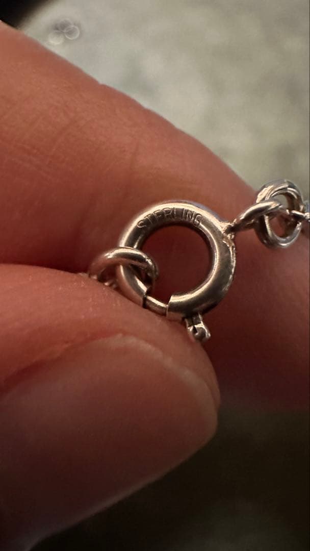 agete Apple Tree silver necklace made of sv925 with 450mm length chain featuring apple tree design