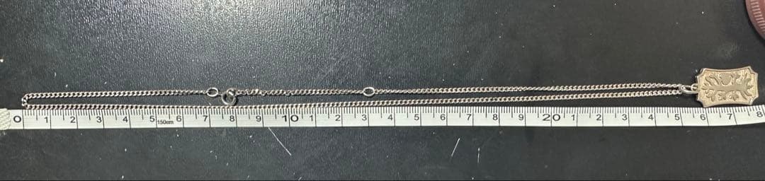 agete Apple Tree silver necklace made of sv925 with 450mm length chain featuring apple tree design