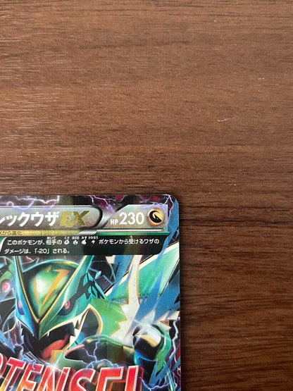 Pokemon Rayquaza ex — Japanese