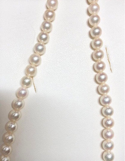 Akoya pearl necklace with round white pearls 5.5-6.0mm and silver clasp on a white background