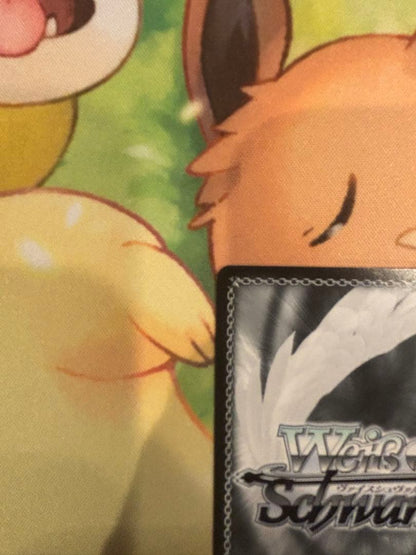 Weiss Schwarz We Are Dreaming, Chizuru Mizuhara — Japanese
