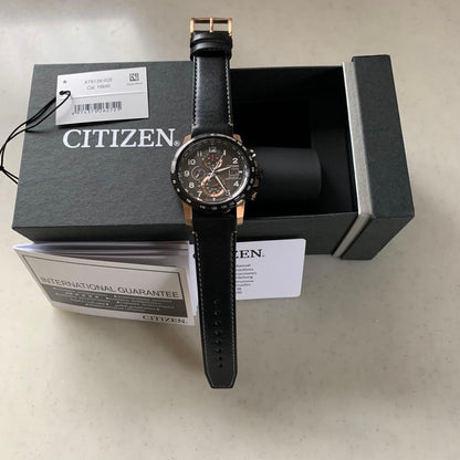Citizen Eco-Drive E660 Series Solar Men's Watch — Japanese