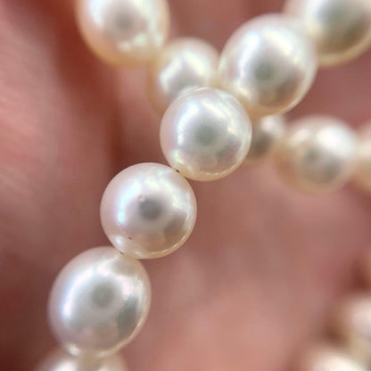 Akoya first-class pearl necklace with 7 to 7.5mm pearls and silver clasp on a white background