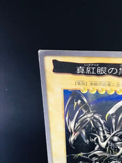 Yu-Gi-Oh Red-Eyes Black Dragon — Japanese