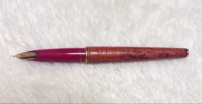 Pilot Fountain Pen with 18K 750 gold nib shown in close-up on white background