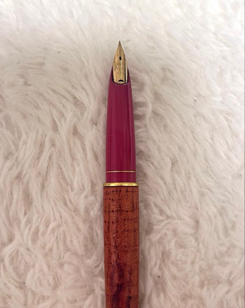 Pilot Fountain Pen with 18K 750 gold nib shown in close-up on white background