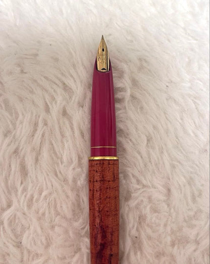 Pilot Fountain Pen with 18K 750 gold nib shown in close-up on white background