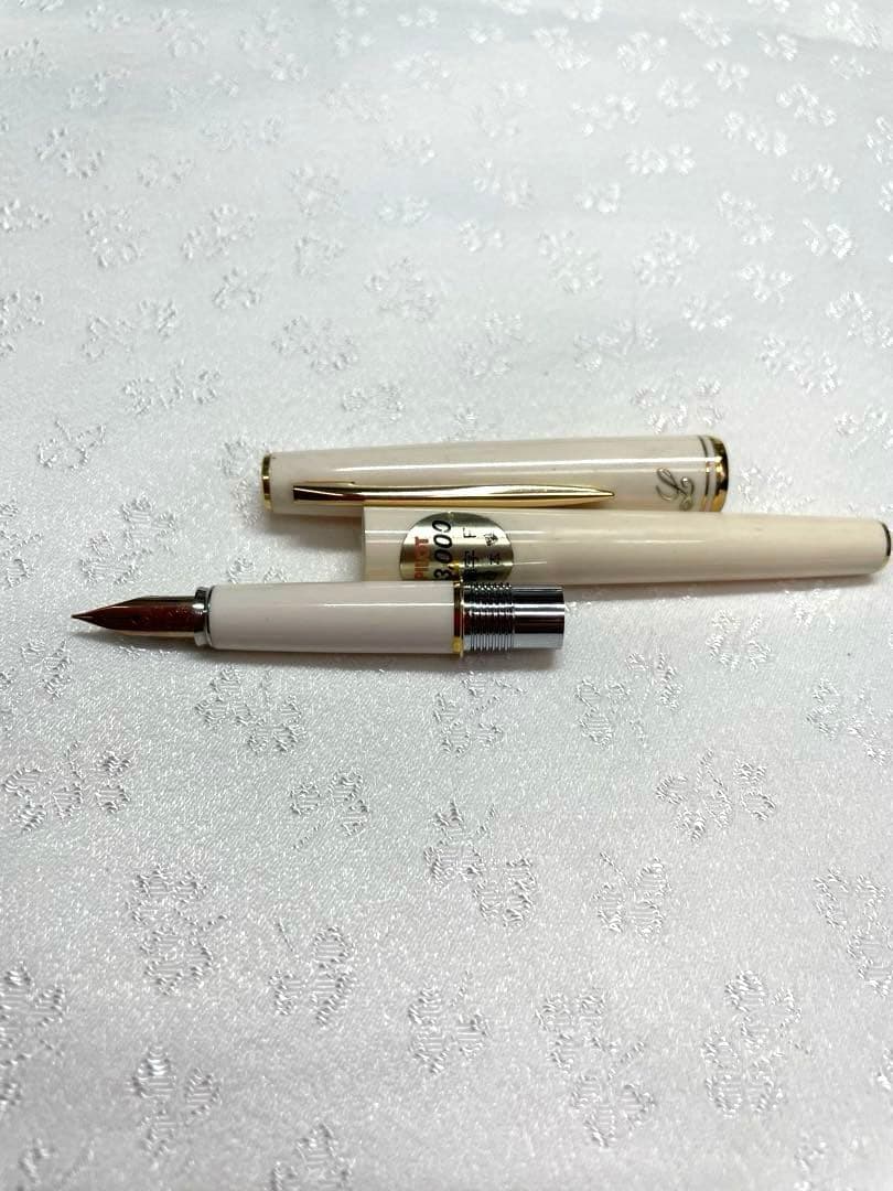 Pilot Fountain Pen with 14K fine tip and 13 cm cap in sleek design