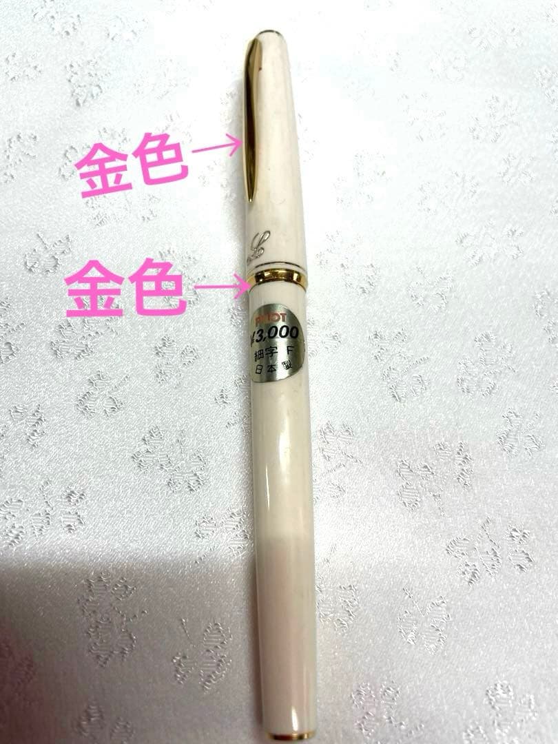 Pilot Fountain Pen with 14K fine tip and 13 cm cap in sleek design