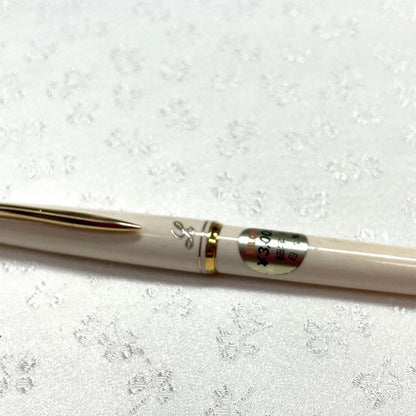 Pilot Fountain Pen with 14K fine tip and 13 cm cap in sleek design