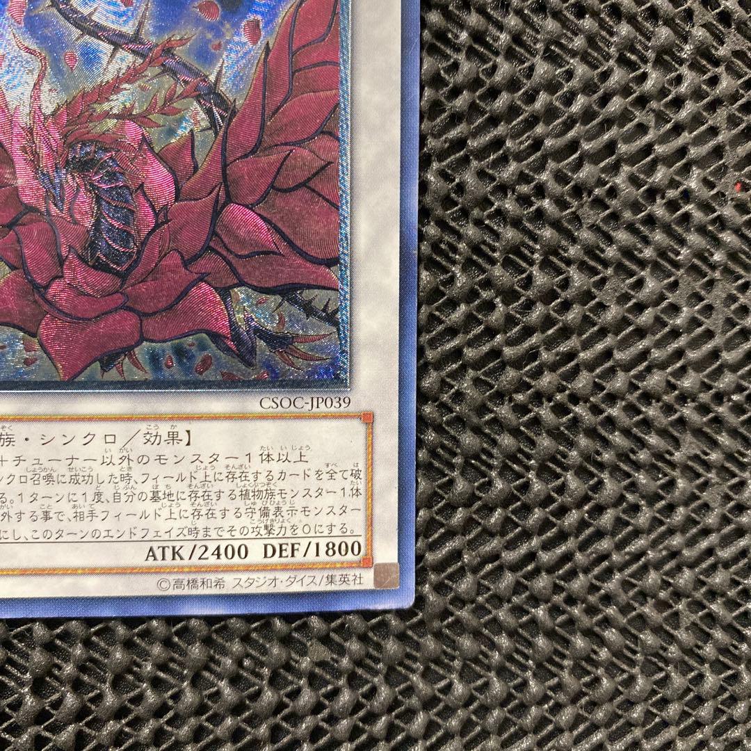 Yu-Gi-Oh Black Rose Dragon CSOC — CSOC-JP039 — Japanese