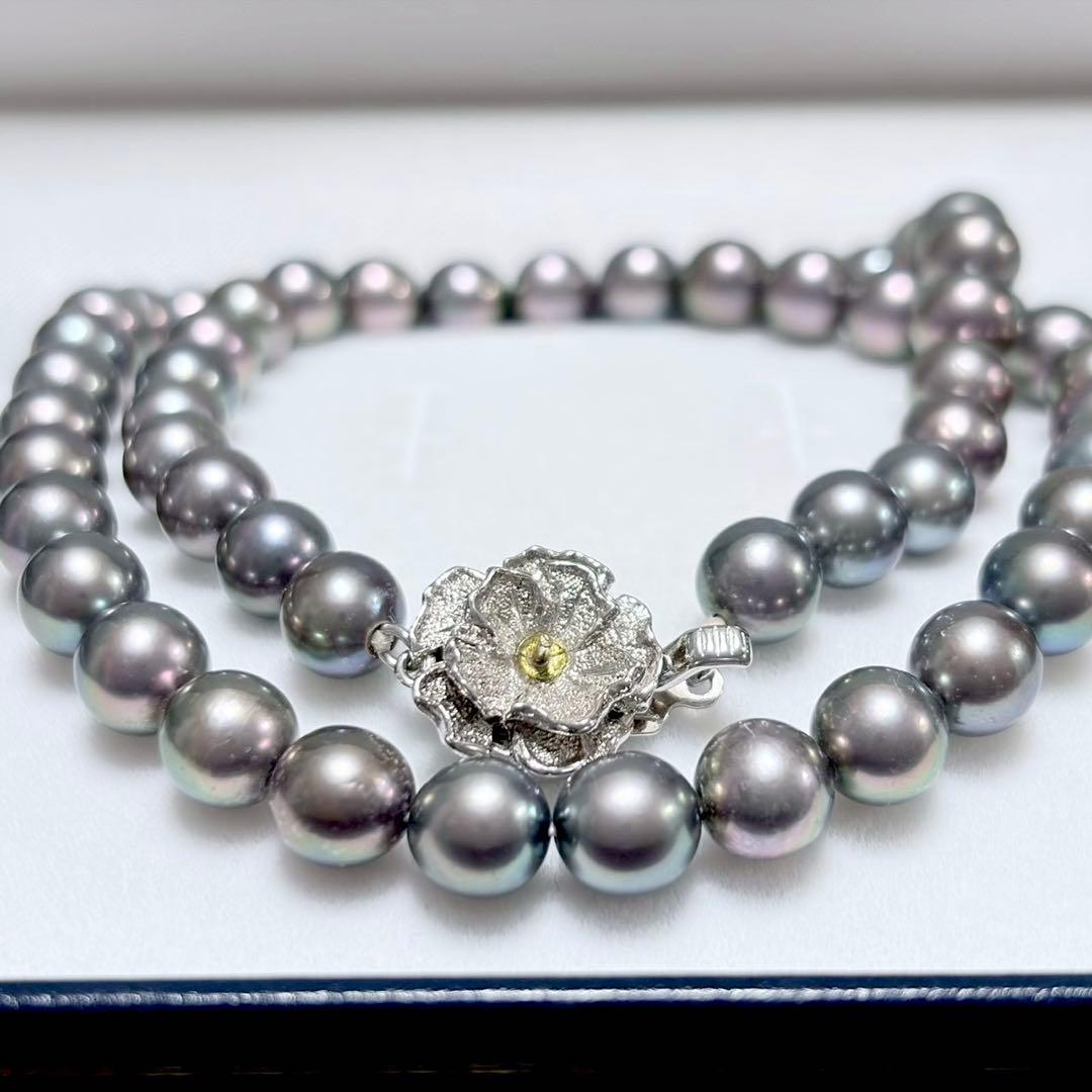 Akoya pearl necklace with 7.2-7.4mm pearls measuring 43.5cm in length on a white background