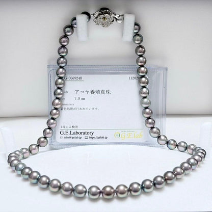 Akoya pearl necklace with 7.2-7.4mm pearls measuring 43.5cm in length on a white background