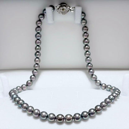 Akoya pearl necklace with 7.2-7.4mm pearls measuring 43.5cm in length on a white background
