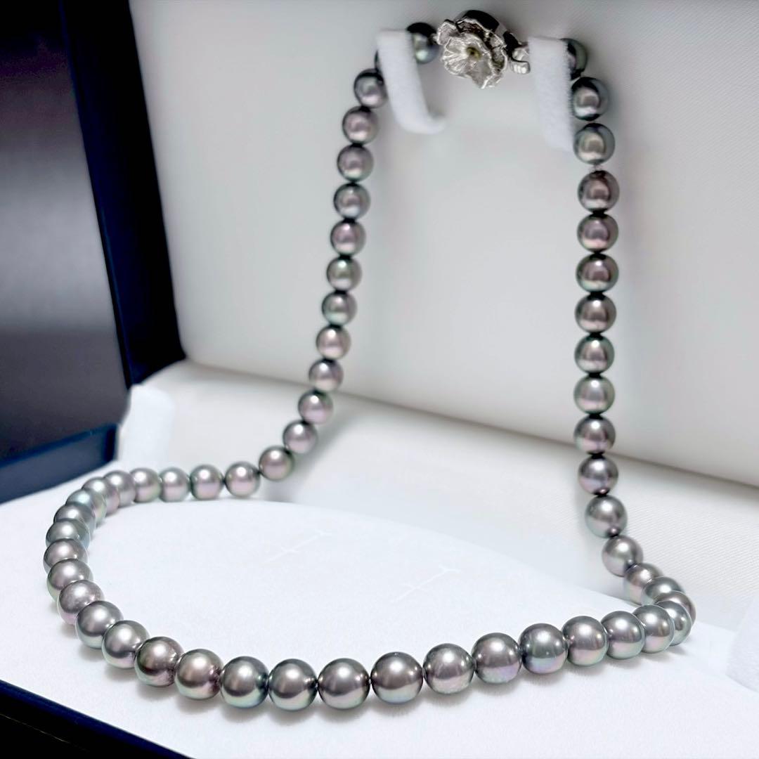 Akoya pearl necklace with 7.2-7.4mm pearls measuring 43.5cm in length on a white background