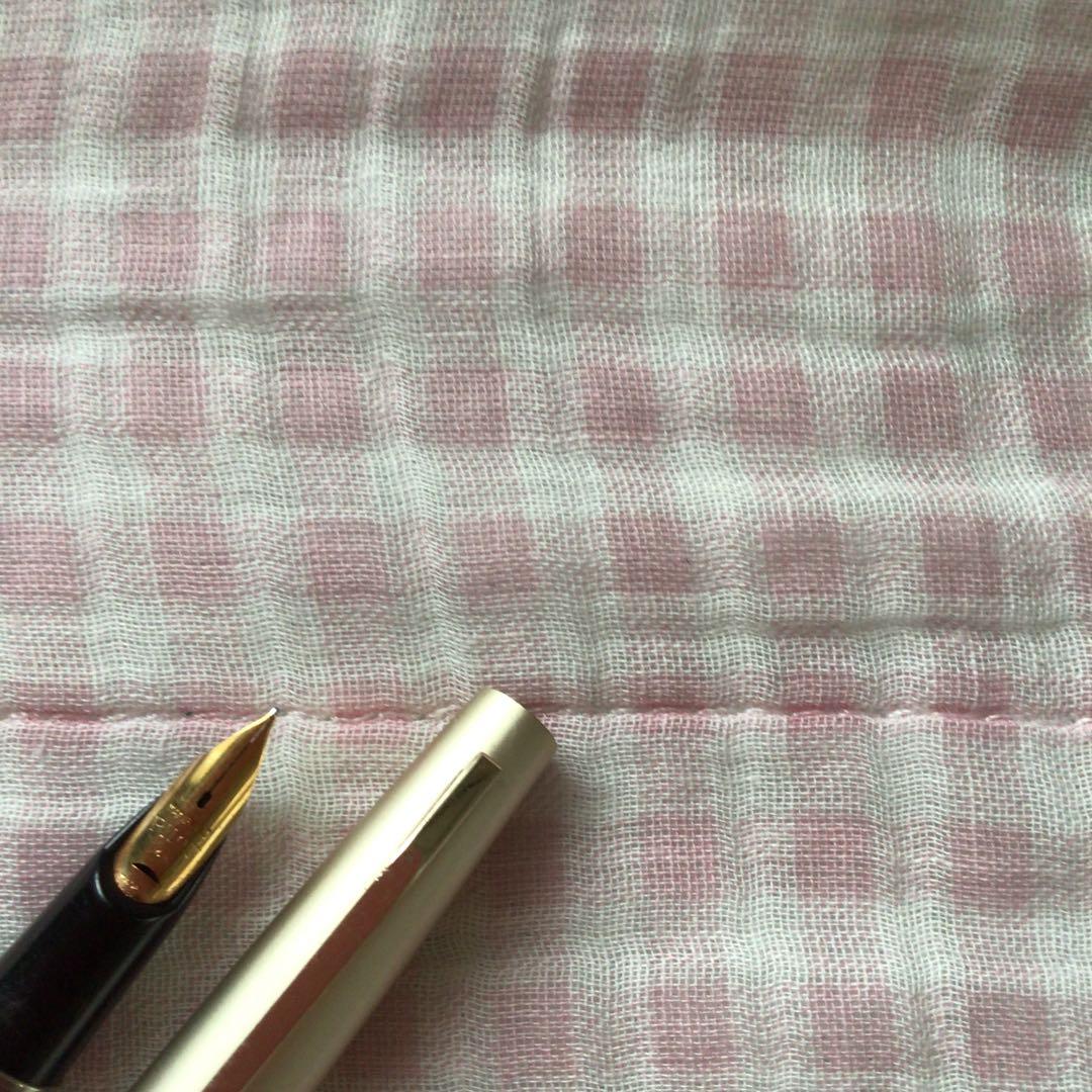Pilot 14K gold Elite fountain pen with suction filling, vintage discontinued model showing signs of storage wear