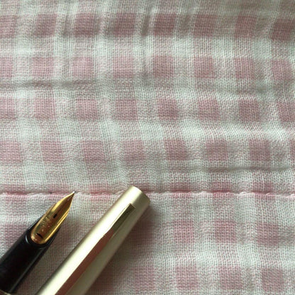Pilot 14K gold Elite fountain pen with suction filling, vintage discontinued model showing signs of storage wear