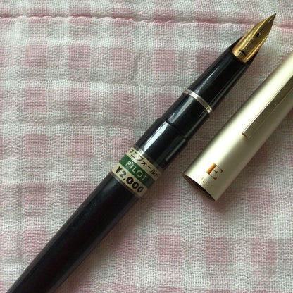 Pilot 14K gold Elite fountain pen with suction filling, vintage discontinued model showing signs of storage wear