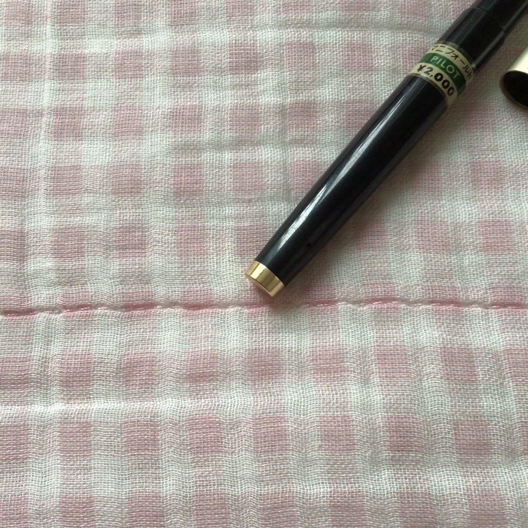 Pilot 14K gold Elite fountain pen with suction filling, vintage discontinued model showing signs of storage wear
