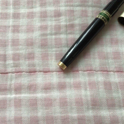 Pilot 14K gold Elite fountain pen with suction filling, vintage discontinued model showing signs of storage wear