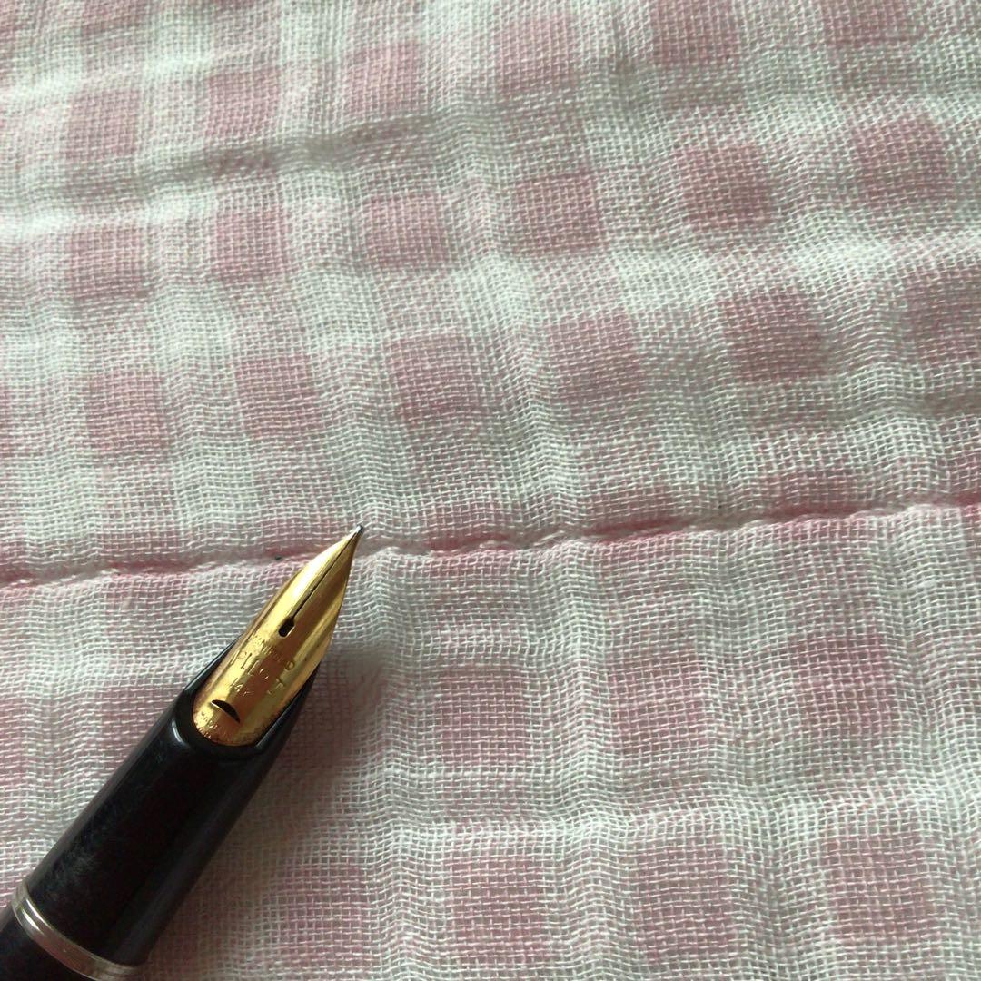 Pilot 14K gold Elite fountain pen with suction filling, vintage discontinued model showing signs of storage wear