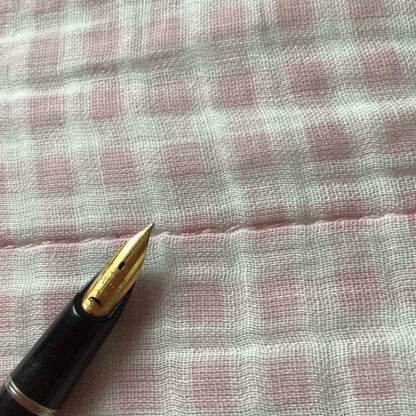 Pilot 14K gold Elite fountain pen with suction filling, vintage discontinued model showing signs of storage wear