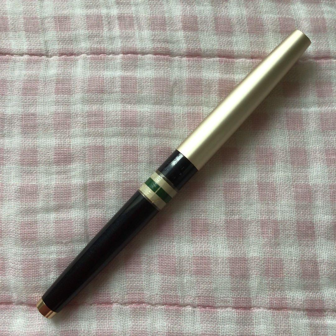 Pilot 14K gold Elite fountain pen with suction filling, vintage discontinued model showing signs of storage wear