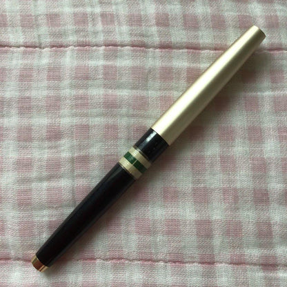 Pilot 14K gold Elite fountain pen with suction filling, vintage discontinued model showing signs of storage wear
