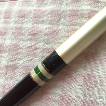 Pilot 14K gold Elite fountain pen with suction filling, vintage discontinued model showing signs of storage wear