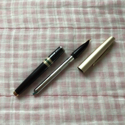 Pilot 14K gold Elite fountain pen with suction filling, vintage discontinued model showing signs of storage wear