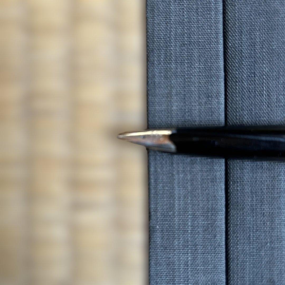 Black PILOT fountain pen with 14K gold nib, resin body, displayed with box and instruction manual