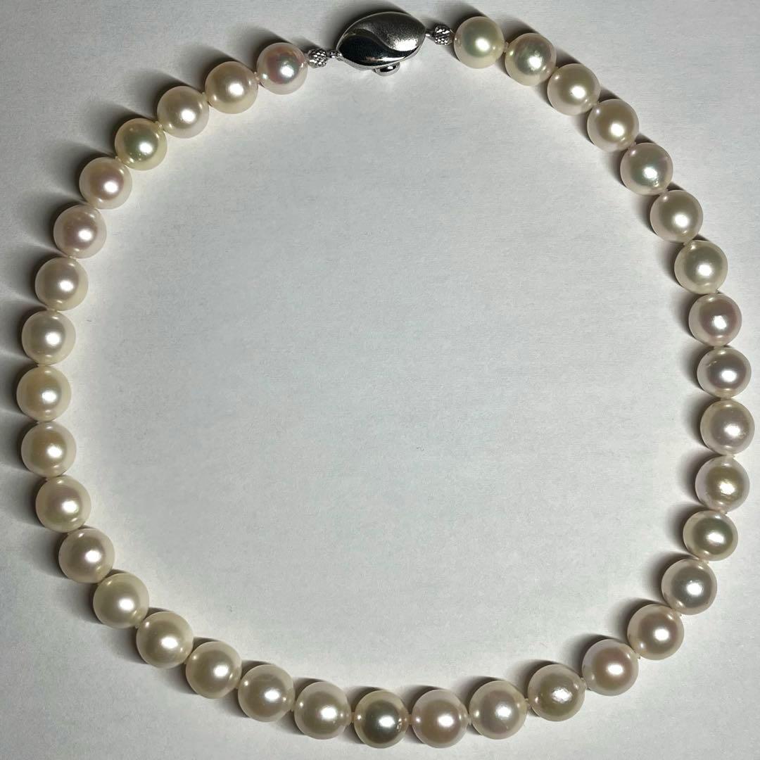 Super Large Akoya Pearl Necklace 40cm with 9.5-10mm pearls and matching 10mm pearl earrings with silver clasps