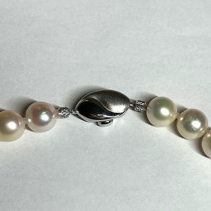 Super Large Akoya Pearl Necklace 40cm with 9.5-10mm pearls and matching 10mm pearl earrings with silver clasps