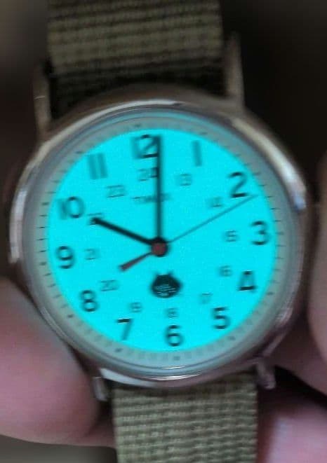 TIMEX にゃー Quartz Men's Watch — Japanese