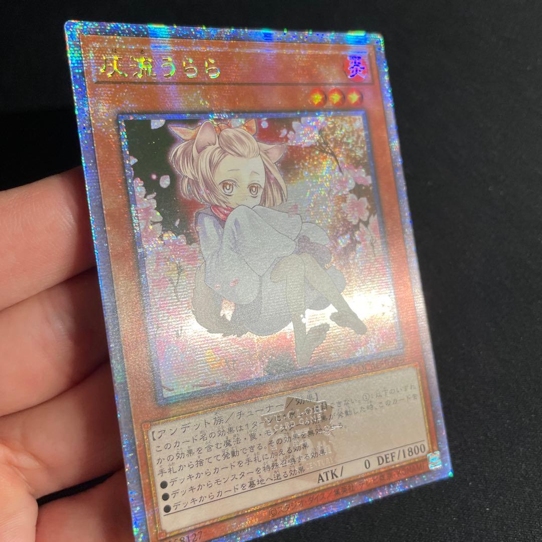 Yu-Gi-Oh Ash Blossom & Joyous Spring — Japanese