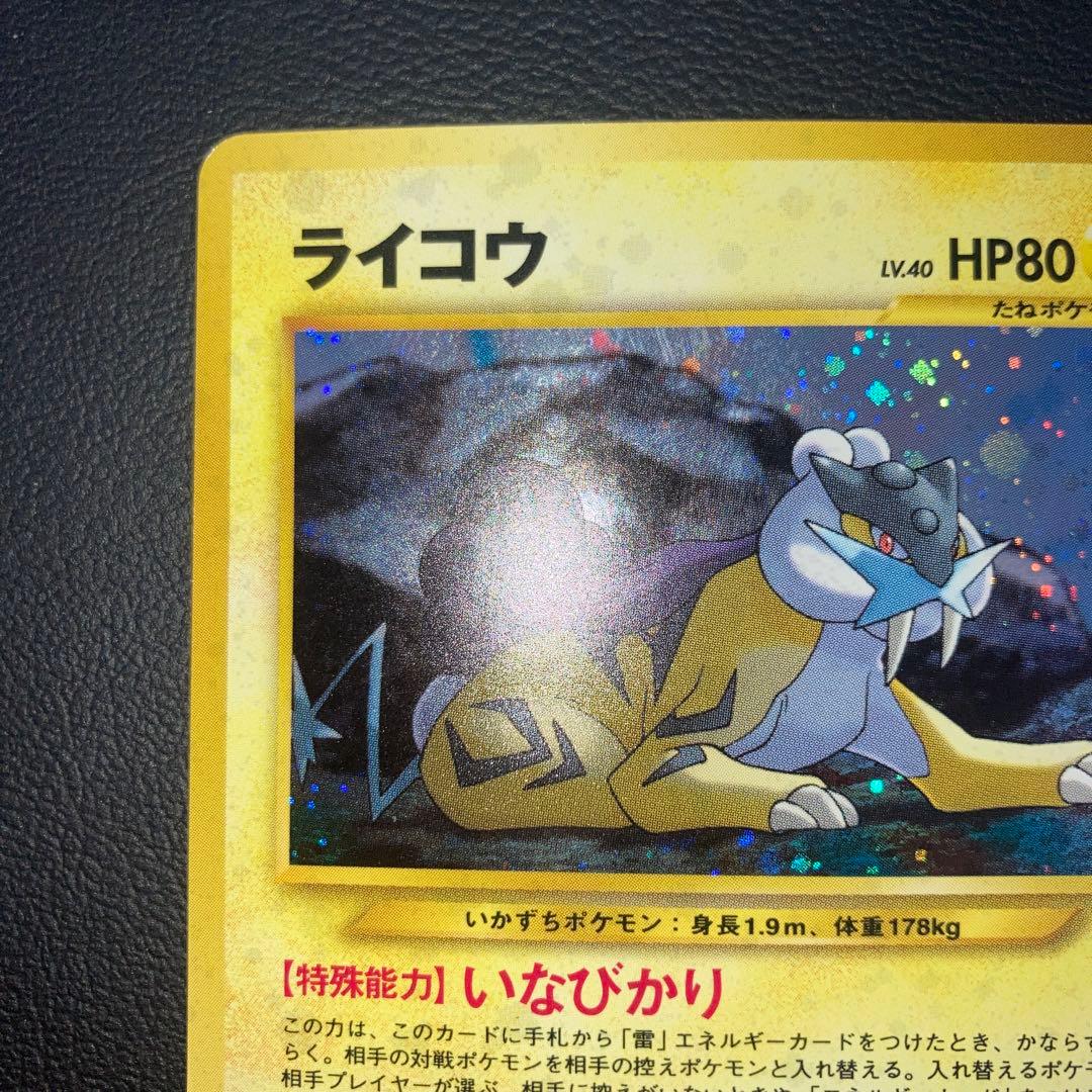 Pokemon Raikou — Japanese