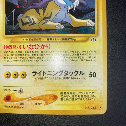 Pokemon Raikou — Japanese
