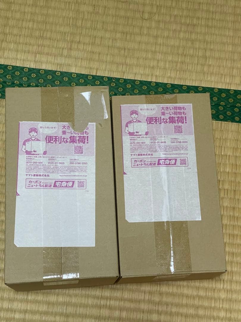 Pokemon Pokémon Center Hiroshima Fukuoka Special Box with Shrink Wrap Box — Japanese