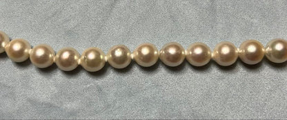 Takashimaya Akoya pearl necklace and earrings set featuring 8-8.5mm slightly pinkish and white pearls with silver clasp