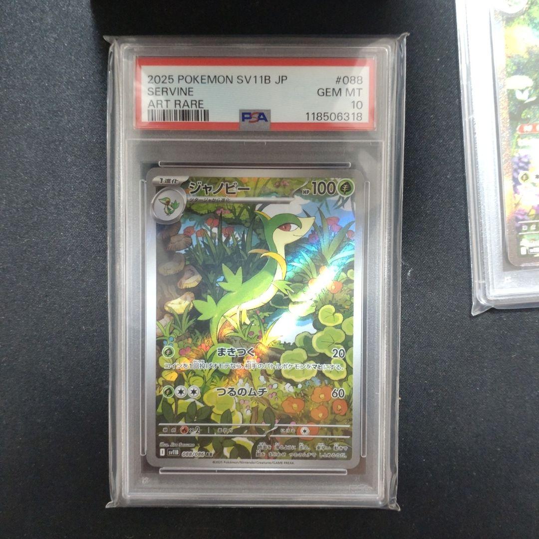 PSA 10 Pokemon Serperior ex SAR — SV Expansion Pack Black Bolt — Japanese
